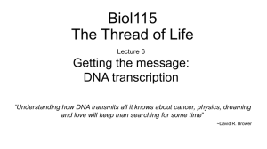 Biol115 The Thread of Life