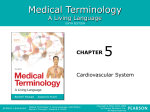 Chapter 5 - The Cardiovascular System