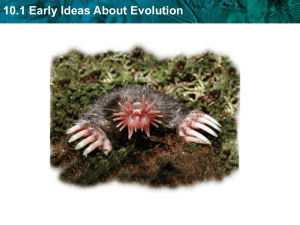 10.1 Early Ideas About Evolution