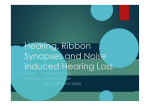 Hearing, Ribbon Synapses and Noise Induced Hearing Loss