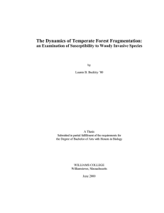 The Dynamics of Temperate Forest Fragmentation