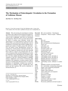 The Mechanism of Enterohepatic Circulation in the Formation of