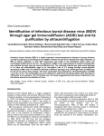 Identification of infectious bursal disease virus (IBDV) through agar