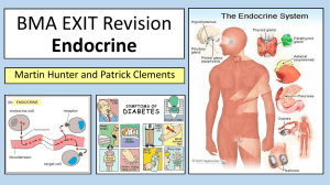 Endocrine EXIT Revision