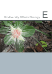 Appendix E - Biodiversity Offsets Strategy