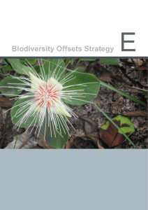 Appendix E - Biodiversity Offsets Strategy