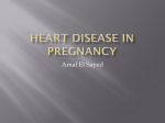 Heart Disease In Pregnancy