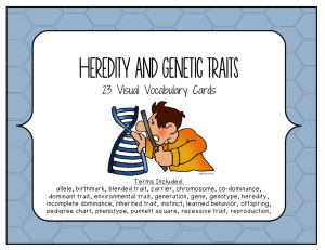23 Visual Vocabulary Cards