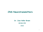 CNS Neurotransmitters