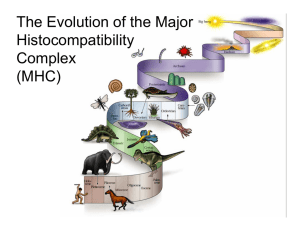 The Evolution of the Major Histocompatibility Complex \(MHC\)