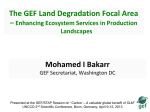The GEF Land Degradation Focal Area Mohamed I Bakarr