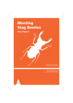 Meeting Stag Beetles