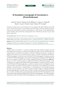 A foundation monograph of Convolvulus L. (Convolvulaceae)