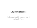 Kingdom Stations