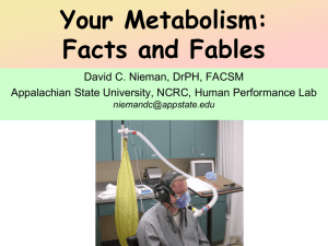 Your Metabolism: Facts and Fables - ASU