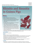 Rhinitis and Sinusitis in Guinea Pigs