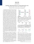 Nylon/DNA: Single-Stranded DNA with a Covalently Stitched Nylon