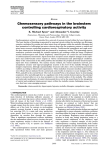 Chemosensory pathways in the brainstem controlling