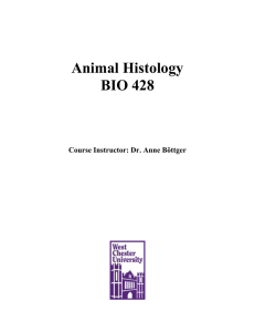 Animal Histology BIO 428