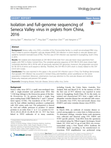 Isolation and full-genome sequencing of Seneca Valley virus in