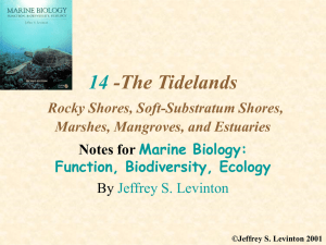 14 -The Tidelands