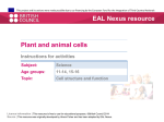 Plant and animal cells EAL Nexus resource