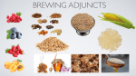 Brewing Adjuncts - Iredell Brewers United