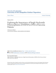 Exploring the Importance of Single Nucleotide Polymorphisms of