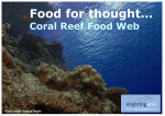 Coral reefs food thought game cards