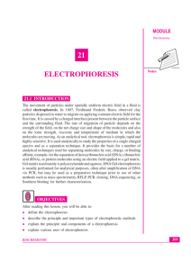 Lesson 21. Electrophoresis