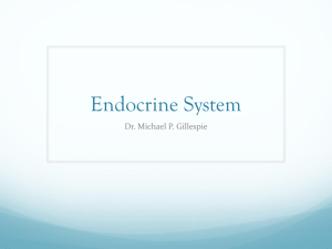 Physiology_12_Endocrine