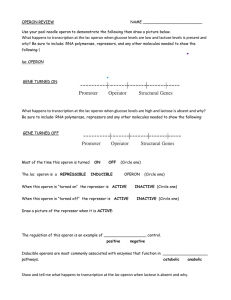 Operon review