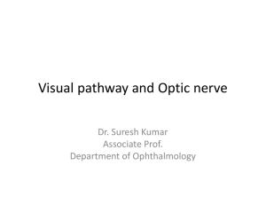 Visual pathway and Optic nerve
