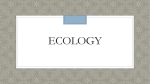ecology - McCreary County Schools