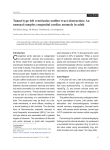 Tunnel type left ventricular outflow tract obstruction: An unusual