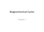 Biogeochemical Cycles - Valhalla High School
