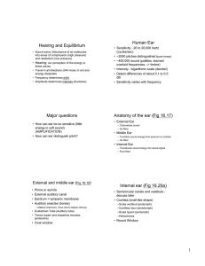 Hearing and Equilibrium Human Ear Major questions Anatomy of