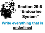29-6 Endocrine