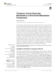 Thalamic Circuit Diversity: Modulation of the Driver/Modulator