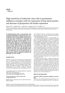 High sensitivity of embryonic stem cells to