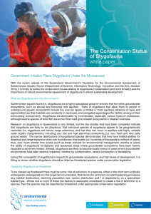The Conservation Status of Stygofauna