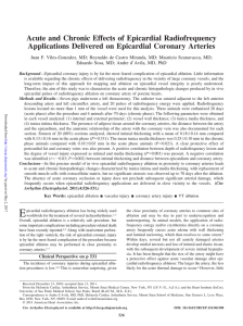 Acute and Chronic Effects of Epicardial Radiofrequency Applications