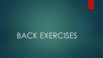 BACK EXERCISES