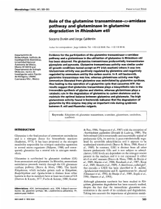 Role of the glutamine transaminase-m-amidase