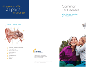 Common Ear Diseases Brochure