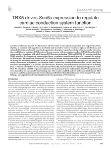 TBX5 drives Scn5a expression to regulate cardiac conduction