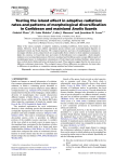 Testing the island effect in adaptive radiation: rates