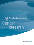 the cancer-metabolism link
