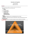 Hemostasis and Coagulation - Sinoe Medical Association