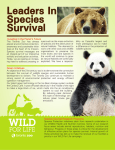 Leaders In Species Survival